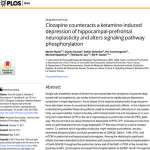 Clozapine counteracts a ketamine-induced depression of hippocampal-prefrontal neuroplasticity and alters signaling pathway phosphorylation