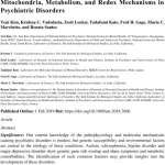 Mitochondria, Metabolism, and Redox Mechanisms in Psychiatric Disorders