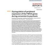 Dysregulation of peripheral expression of the YWHA genes during conversion to psychosis