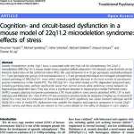 Cognition- and circuit-based dysfunction in a mouse model of 22q11.2 microdeletion syndrome: effects of stress