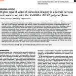 Higher reward value of starvation imagery in anorexia nervosa and association with the Val66Met BDNF polymorphism.pdf