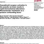 Cannabinoid receptor activation in the juvenile rat brain results in rapid biomechanical alterations: Neurovascular mechanism as a putative confounding factor