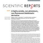 A. A highly soluble, non-phototoxic, non-fluorescent blebbistatin derivative