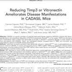 Reducing Timp3 or Vitronectin Ameliorates Disease Manifestations in CADASIL Mice